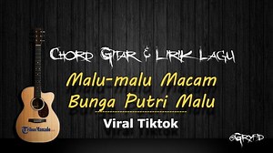 Chord Lagu Viral Malu-malu Macam Bunga Putri Malu, Kunci Gitar Mudah Dimainkan - Tribunmanado.co.id