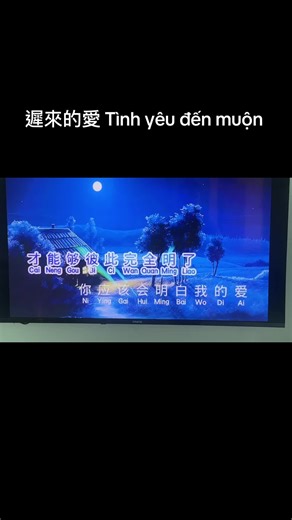 遲來的愛：Tình yêu đến muộn караоке
