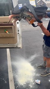 639K views · 1.5K reactions | I guess that's their secret formula  | Lessons Learned In Life | Facebook