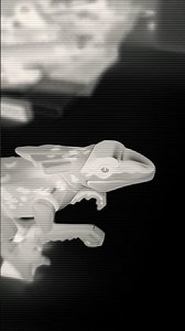 #trending #viral #popular #lego #dinosaur #youtube #youtubeshorts #memes #tutorial #humor