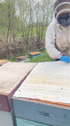 4.4K views · 56 reactions | Beekeeper  #honey #bee #candles #beekeeping #canada | Beekeeper in Canada | Facebook