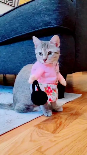 #russion #istanbul #italy #cat #anna_bella #foryoupage #FiFA