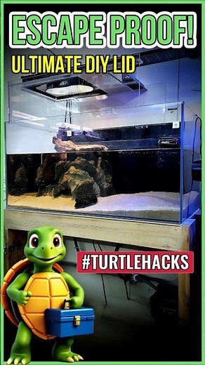 How to STOP Your Turtle from ESCAPING (Ultimate Turtle Proof Lid)