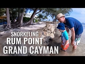 Snorkeling GRAND CAYMAN ISLAND Rum Point [4K]