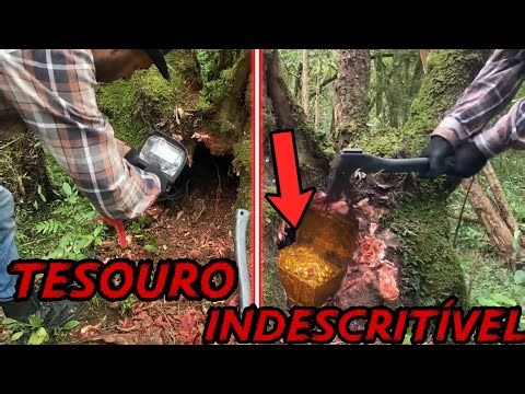 An indescribable treasure within the hollow tree.