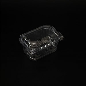 [Hot Item] Reusable Plastic Clamshell Container for Eco-Friendly Packaging Solutions