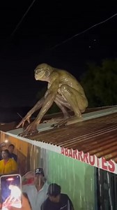 extraña criatura humanoide es captada en un pueblo rural | Mr. teory365