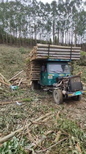 Overloaded Log Truck Struggling Through Forest Terrain 🌲🚛