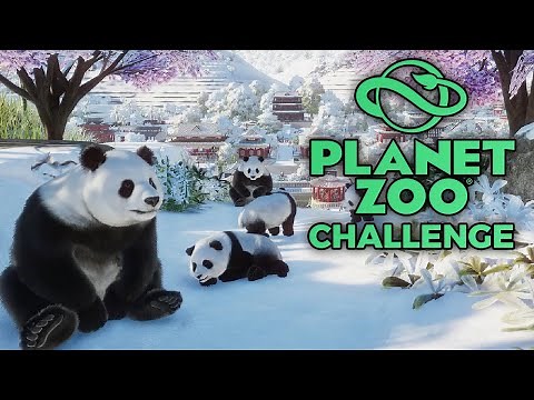 Wer baut das BESTE Panda-Gehege? | Planet Zoo Challenge