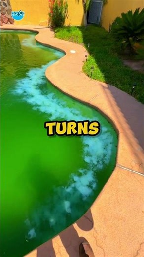 THE TOXIC TRIBUTARY! 😱🐍 (THE MORTAL POOL LEAK)