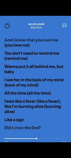 Wildflower - Billie Eilish Lyrics Video