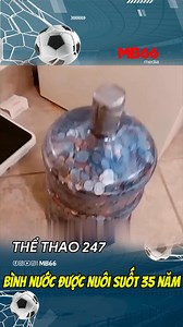 110K views · 974 reactions | Con lợn đất được nuôi suốt 35 năm #bongda #okvip #okvipxuhuong #thethao #moments | MB66 Thể Thao 247 | Facebook