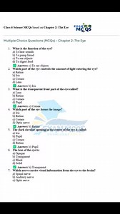 18K views · 318 reactions | Class 6 Science Mcqs -HUMAN ️ EYE Follow EXAM MCQS CSS, FPSC, PPSC, SPSC+ Current Affairs #science #everydayscience #sciencefiction #sciencefacts #scienceforkids #StudyAbroad #study #learnnscience #learn #students #skin #juniorscienceteacher #ppscjobs2024 #PPSCPreparation #fpscjobs #PPSCMCQS #spscjobs #STS #share #facts #doyou #doyouknow #remember #viralreelsシ #viral2025 #viralreelschallenge | EXAM WORLD MCQS CSS,PMs,SPSC | Facebook