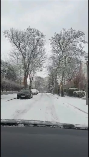 Captivating Live Poetry Highlights You Can't Miss