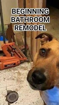 Starting a New Bathroom Renovation!