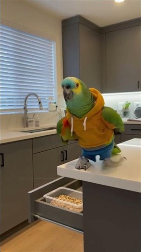 Blue-fronted Amazon Runs the Smart Home Now