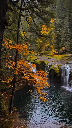 Learn Destinations by BVIRAL on Instagram: "Lower Lewis Falls Surrounded by Vibrant Autumn Foliage in Washington 🎥 napoleon.adventures Interested in travel? @lost_in_travel is your go-to for in-the-know spots, locals-only experiences, and exclusive finds that savvy travelers crave. Skip the tourist traps and follow along to explore the world like an insider."
