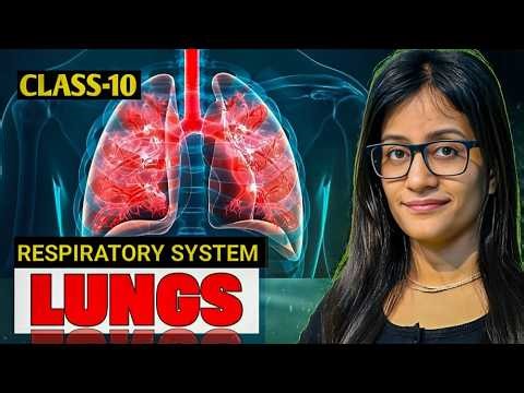 Class 10 Biology Life Processes Full Chapter | Digestion, Respiration, Transportation & Excretion 🔥