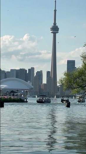 POV: The best CN Tower view from the Toronto Islands! 🏝️🇨🇦 #TorontoIslands #CNTower #shorts #viral