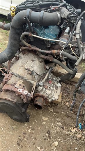 Mr. Thompson on TikTok