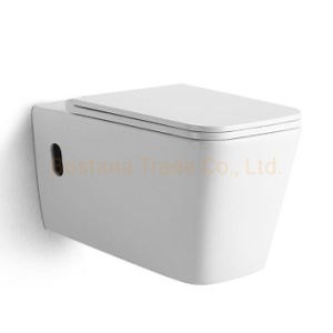 [Hot Item] Bathroom Set Ceramic Wc Washdown Wall Hung Wc Toilet Water Closet