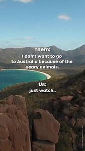 24 reactions · 3 comments | ✨輦 Wildlife Wonders of Australia 輦✨...