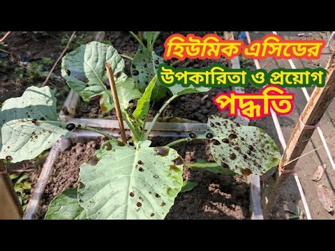 Humic Acid for Plants |হিউমিক এসিডের উপকারিতা ও প্রয়োগ পদ্ধতি | Soil Health and Root booster.