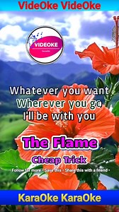 The Flame - Cheap Trick #karaokereels #music | VideOke / KaraOke