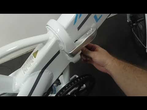 Lectric Bike Walkthrough