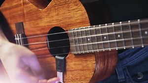 Made from recycled water bottles, the Eco-Comfort Ukulele Strap line is an eco-friendly soundhole hook style strap made to support all Ukuleles with a standard soundhole. | D'Addario and Co.