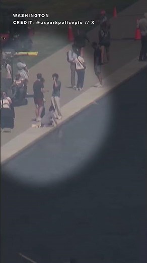 Reflecting Pool vandal suspect sought