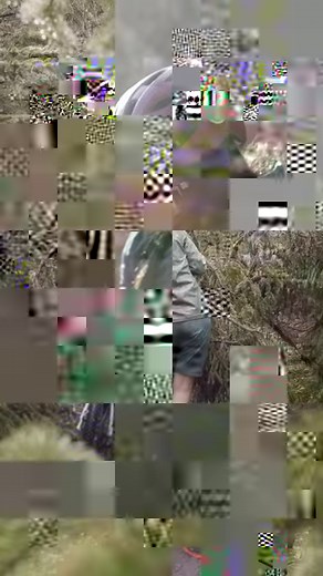 2.3K views · 24 reactions | Adventure means something different to everybody. Whether you're lining up for your first gravel race, venturing across a continent, or just heading into the woods for the day without a plan, Adventure by Bike will lead you to lifelong memories and personal growth. What's your Adventure by Bike? #SalsaCycles #AdventureByBike | Salsa Cycles | Facebook