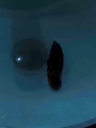 #movie #for-you #filmscene #usa🇺🇸 #edit | Movie Scenes Edits