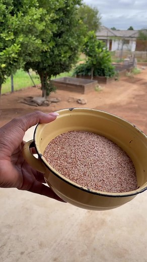 Mabele Porridge. The breakfast that keeps you going all day 😋😋 | South African Food