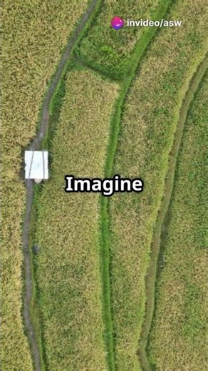 From Java Coffee to Bali’s Organic Farms: A Nomadic Taste of Indonesia ☕🌱