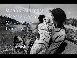 Japan's Minamata Disease was a Man-made Tragedy