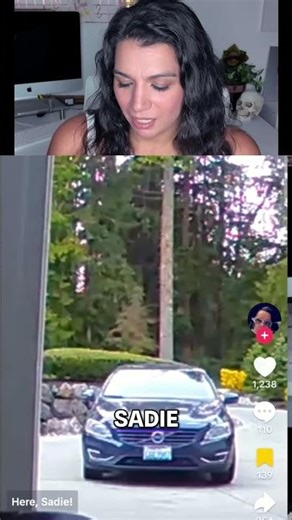 Loose Dog Chases Amazon Driver Around the Car!!!