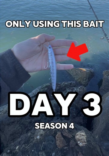 Fishing Challenge: Casting for Skunks with Lucky Craft