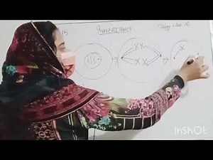 Inheritance | Class 10 Biology | Chapter 15| Genetics | Lec.01 | Haytham Academy