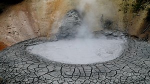 79K views · 2.9K reactions | The always active and often pungent Mud...