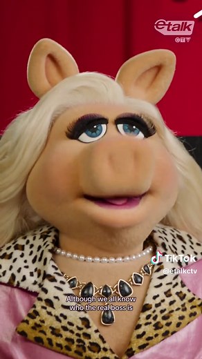 Muppets Return: Kermit & Miss Piggy on Seth Rogen