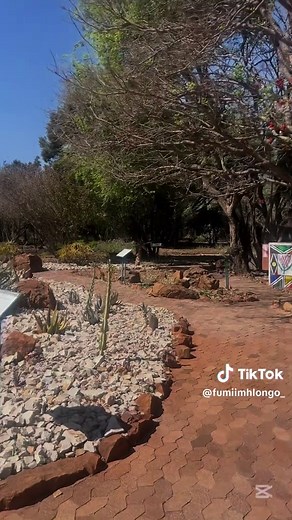 Exploring Pretoria's National Botanical Gardens