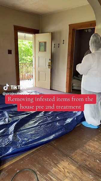 #pestcontrol #disgusting #bedbug #horror #cleaning #renovationproject #viralvideo #viralvideo #infestation #infestation #bedbugs #inheritedrealestate #gross #tenent #live #fyp #renovation #bedbugs #gross #viralvideo