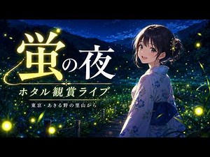 東京あきる野市 ホタル観賞ライブ / Tokyo Firefly Night Live【LIVE・7/4(土)】蛍の光とカエルの鳴き声・作業用BGM