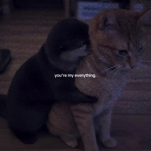 . (@beyonfxaowp)’s videos with final dawn - LXNYA