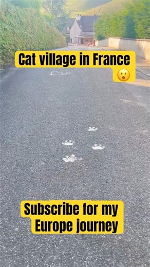 Katzenthal: The village where even the walls love animals!