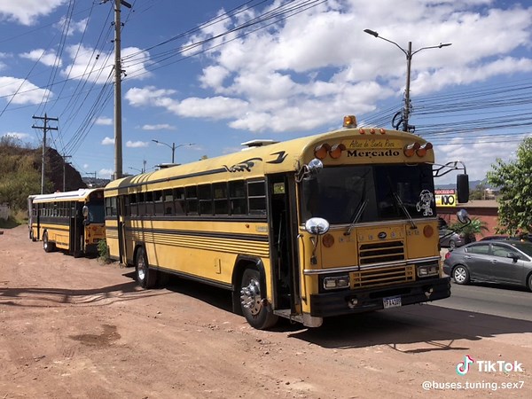 Buses Tuning: A Look at Custom Bus Modifications