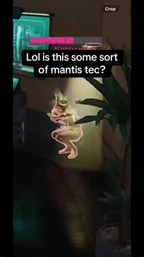 Mantis Tech Humor