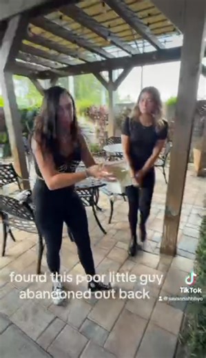 7.4K views · 91 reactions | Happy Sunday  Do let the girls find anymore strays today  #StJohnsTavern #crystalriverflorida #wesellfun #tavernhotties #3bars1roof | St. Johns Tavern | Facebook