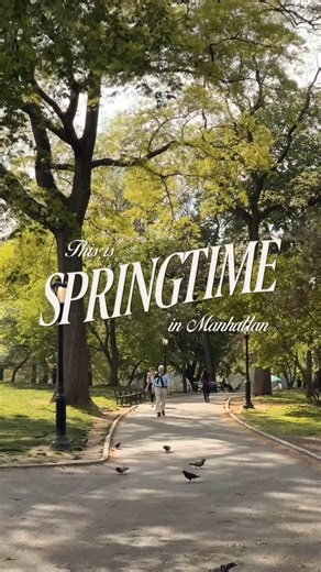 Ethan Barber • New York City on Instagram: "if you’re reading this; take it as your reminder that spring in new york is just a little less than 2 months away! 🌷🏙️💐🌞🌳✨ shot on iphone 4k at 30fps #ethanbarberco #newyorkcity #lifeinmanhattan #springday #springinnewyork #springtime #nycgo #newyorker #newyorkphotographer #nostalgia #00s #2000s #iloveny #taylorswift #swifties"